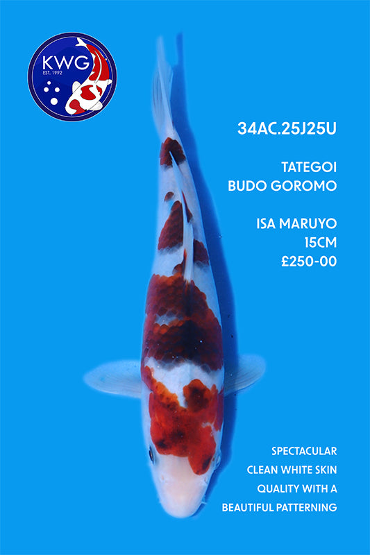 34AC.25J25U