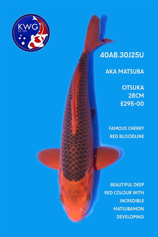 40AB.30J25U