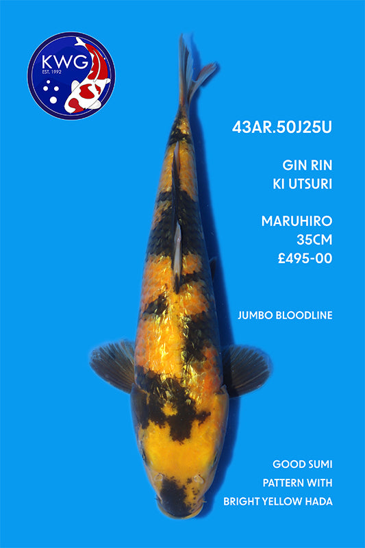 43AR.50J25U