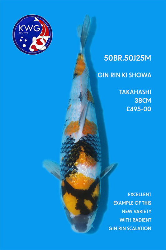 50BR.50J25M