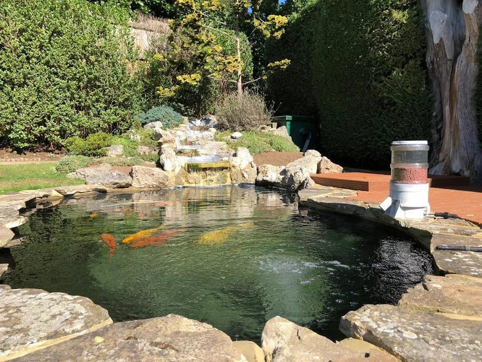 a fish pond surrounded by rocks in a garden