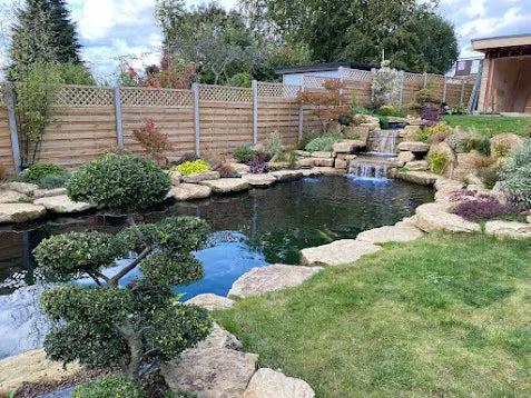 a garden with a pond and a waterfall