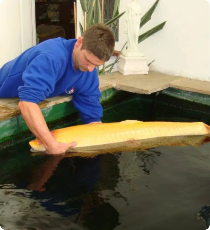 a man in a blue shirt is cleaning a fish