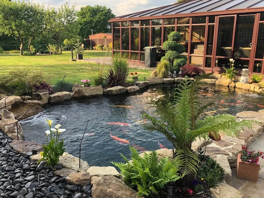 a garden with a fish pond in the middle of it