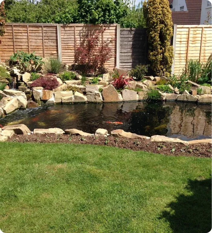 a small pond in the middle of a yard