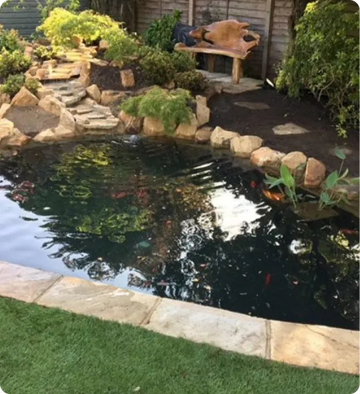 a backyard pond with a bench in the middle of it