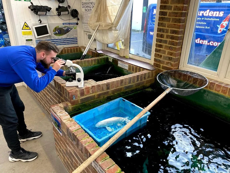 a man in a blue jacket is using a machine to clean a fish pond