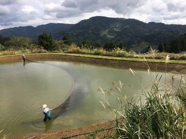 a man wading in a pond with mountains in the background