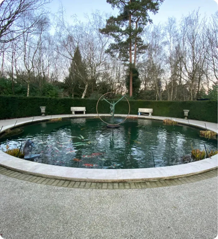 a pond with a bench in the middle of it