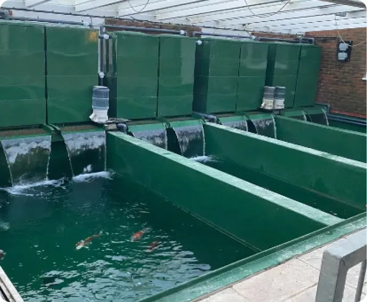 a group of green water tanks filled with water