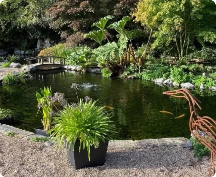 a pond with a bridge in the middle of it