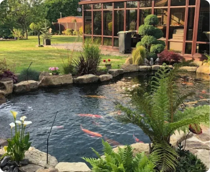 a garden with a pond and a fish pond