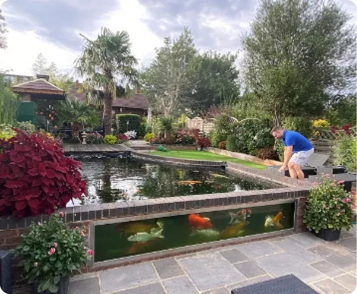 a man kneeling down to look at a fish in a pond