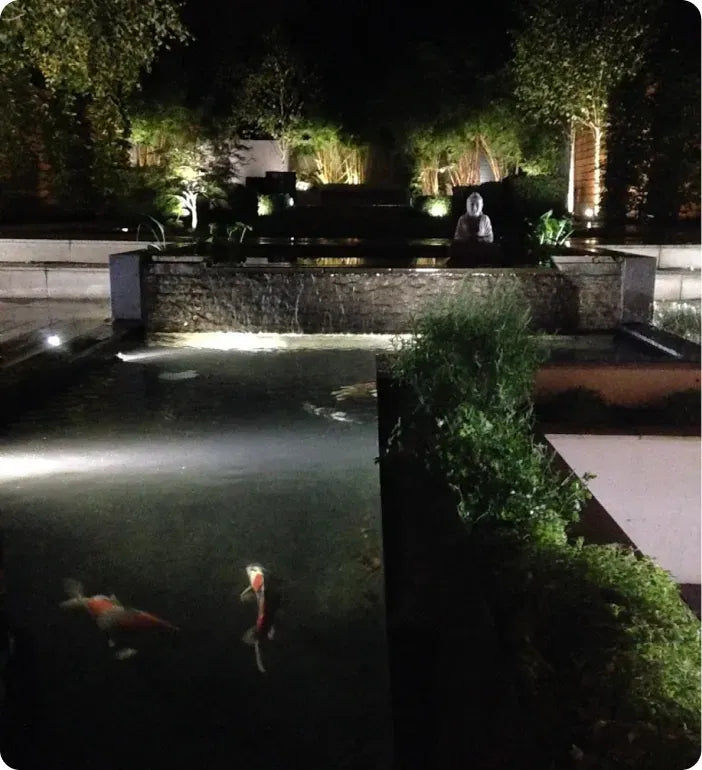 a couple of fish swimming in a pond at night