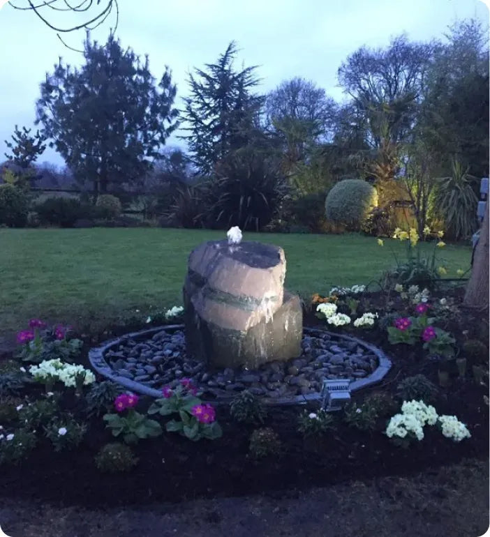 a bird is sitting on a rock in a garden