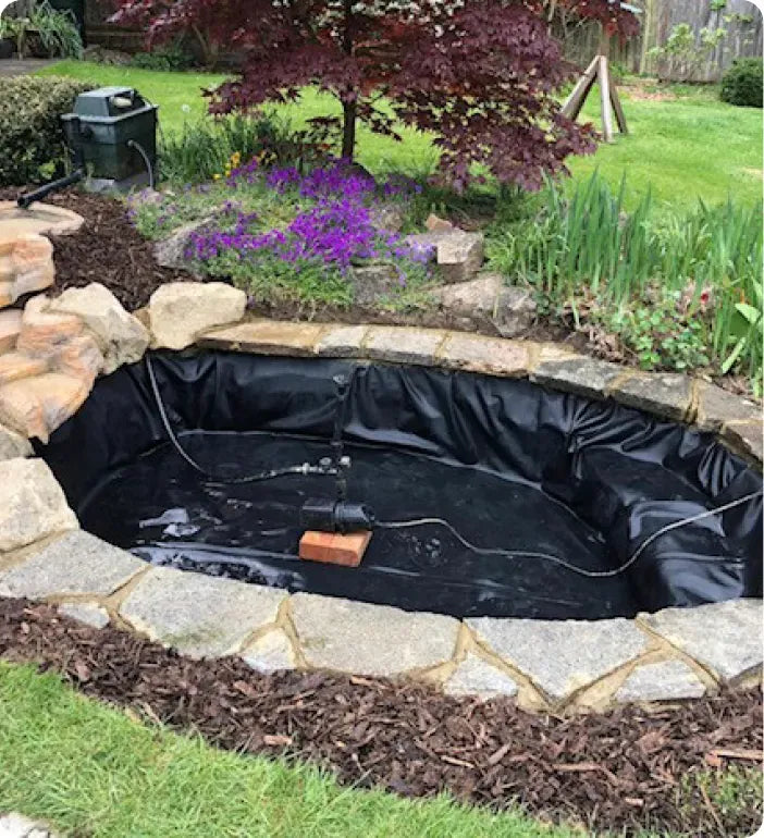 a small pond in the middle of a yard