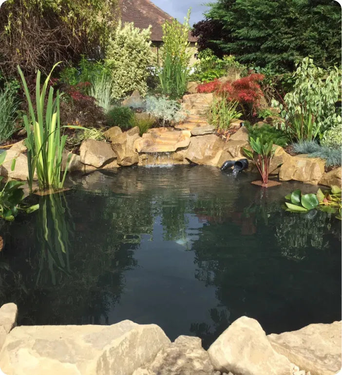 a pond surrounded by rocks and plants