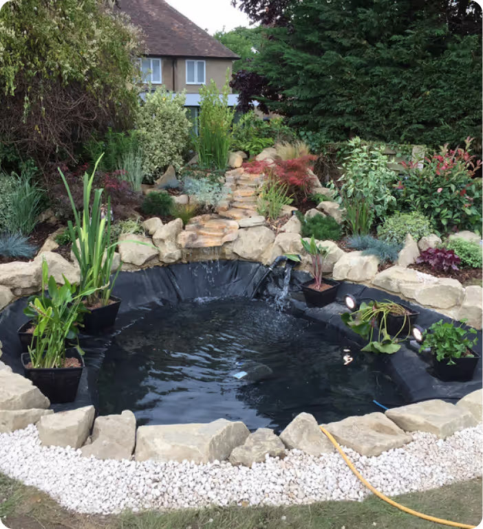 a garden with a pond in the middle of it