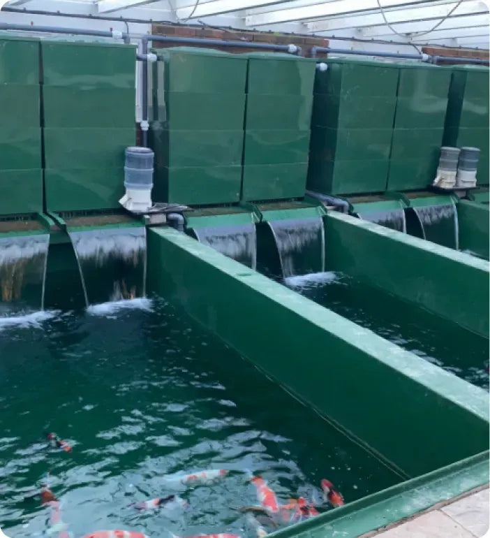 a group of people swimming in a pool of water