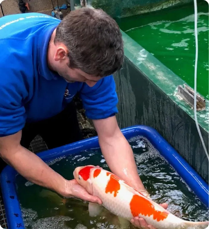 a man holding a fish in a blue container