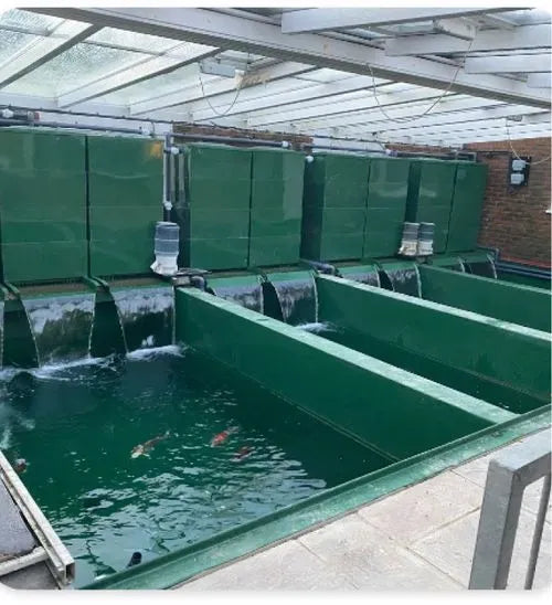 a group of green tanks filled with water