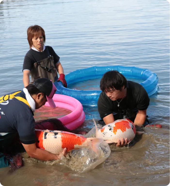 a group of people in the water with a fish