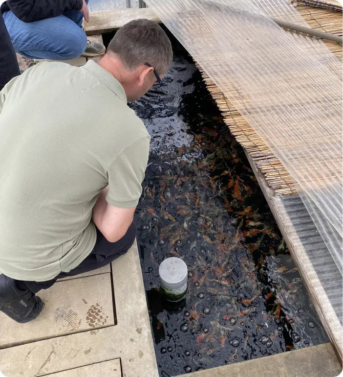 a man kneeling down next to a fish pond