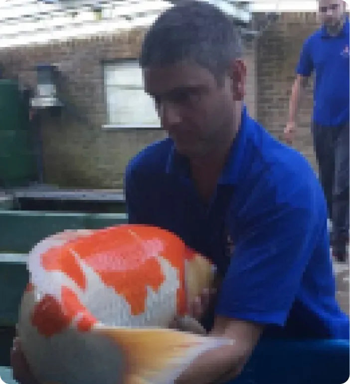 a man holding a large orange and white object