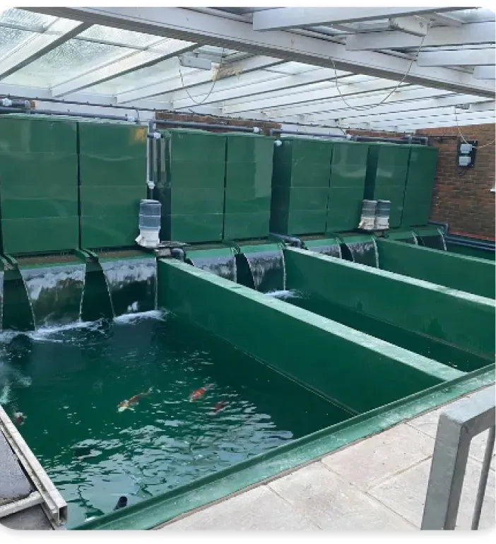 a group of green tanks filled with water