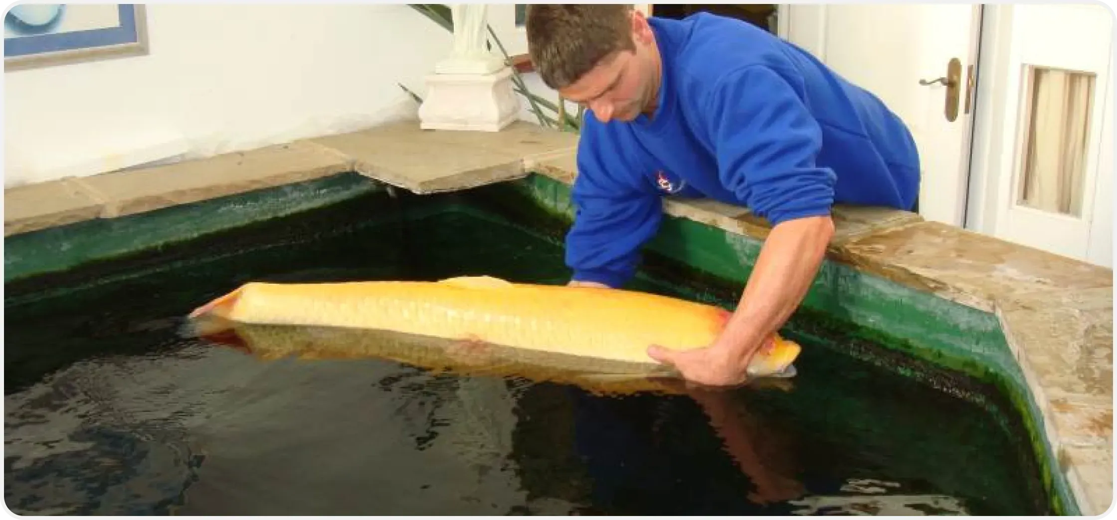 a man holding a large fish in a pond