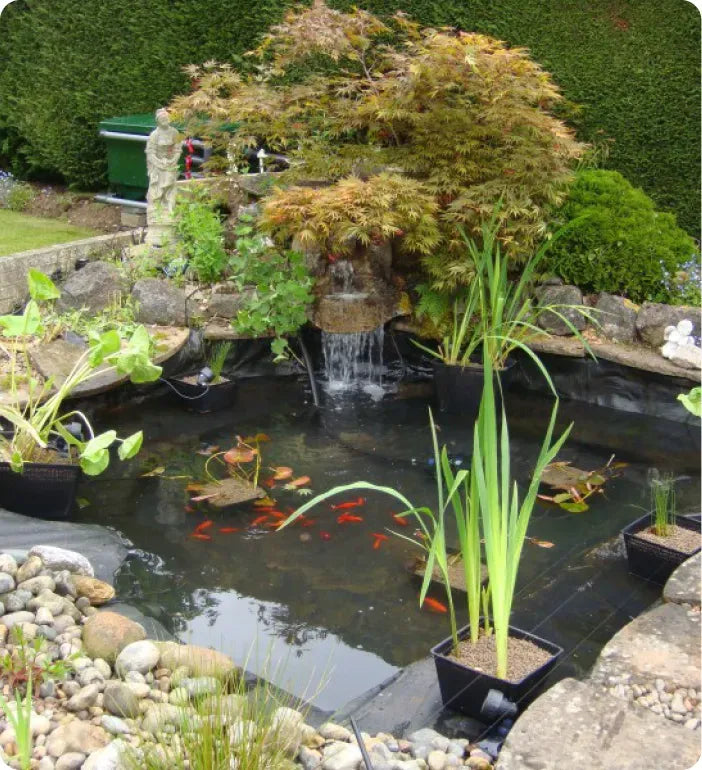 a small pond with a waterfall in the middle of it