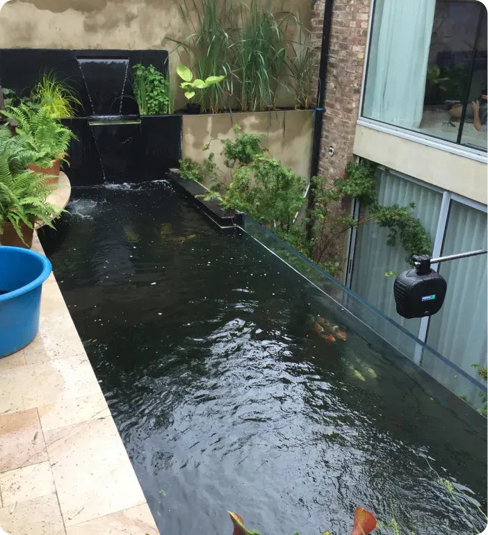 a small pond in a back yard next to a building