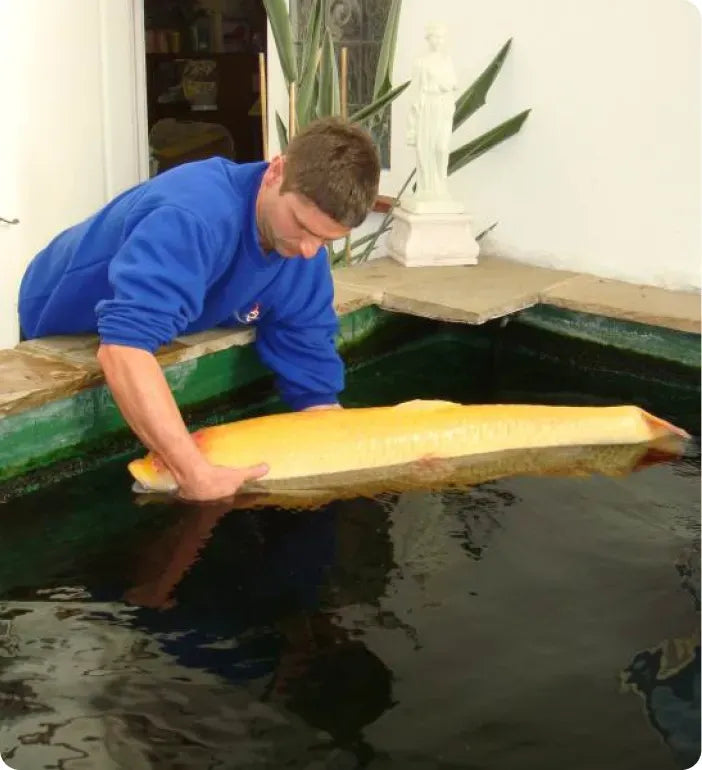 a man in blue shirt holding a large object in water