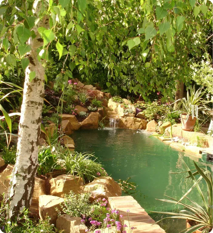 a garden with a pond surrounded by trees