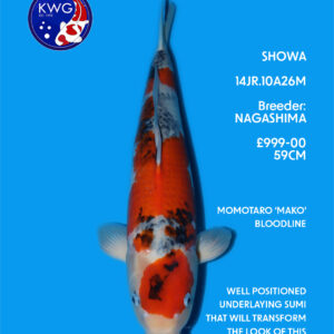 14JR.10A26M