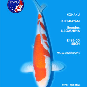 14JY.50A26M