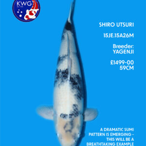 15JE.15A26M