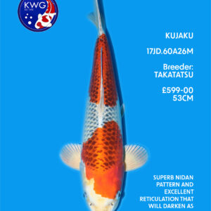 17JD.60A26M