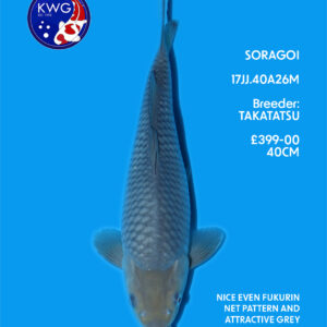 17JJ.40A26M