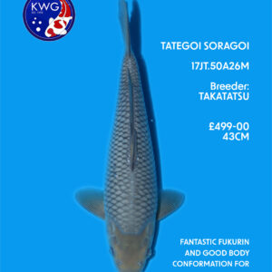 17JT.50A26M