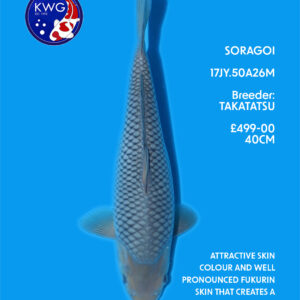 17JY.50A26M