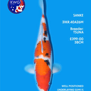 31KR.40A26M