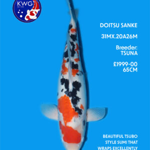 31MX.20A26M
