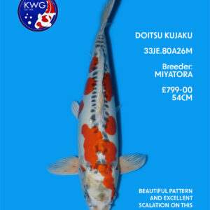 33JE.80A26M