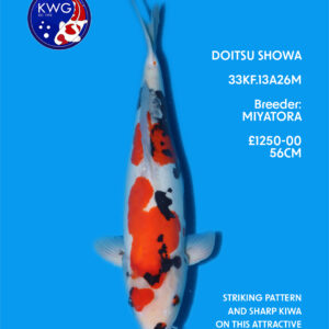 33KF.13A26M