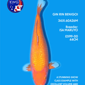 34JX.60A26M