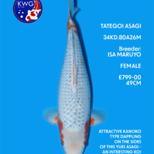 34KD.80A26M