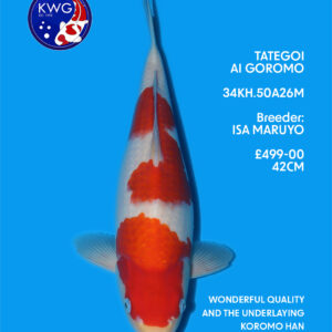 34KH.50A26M