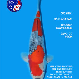 35JE.60A26M