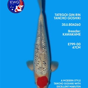 35JJ.80A260